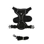 Pawnests Aura | Reflective Breathable Pet Harness & Leash Set Pawnests