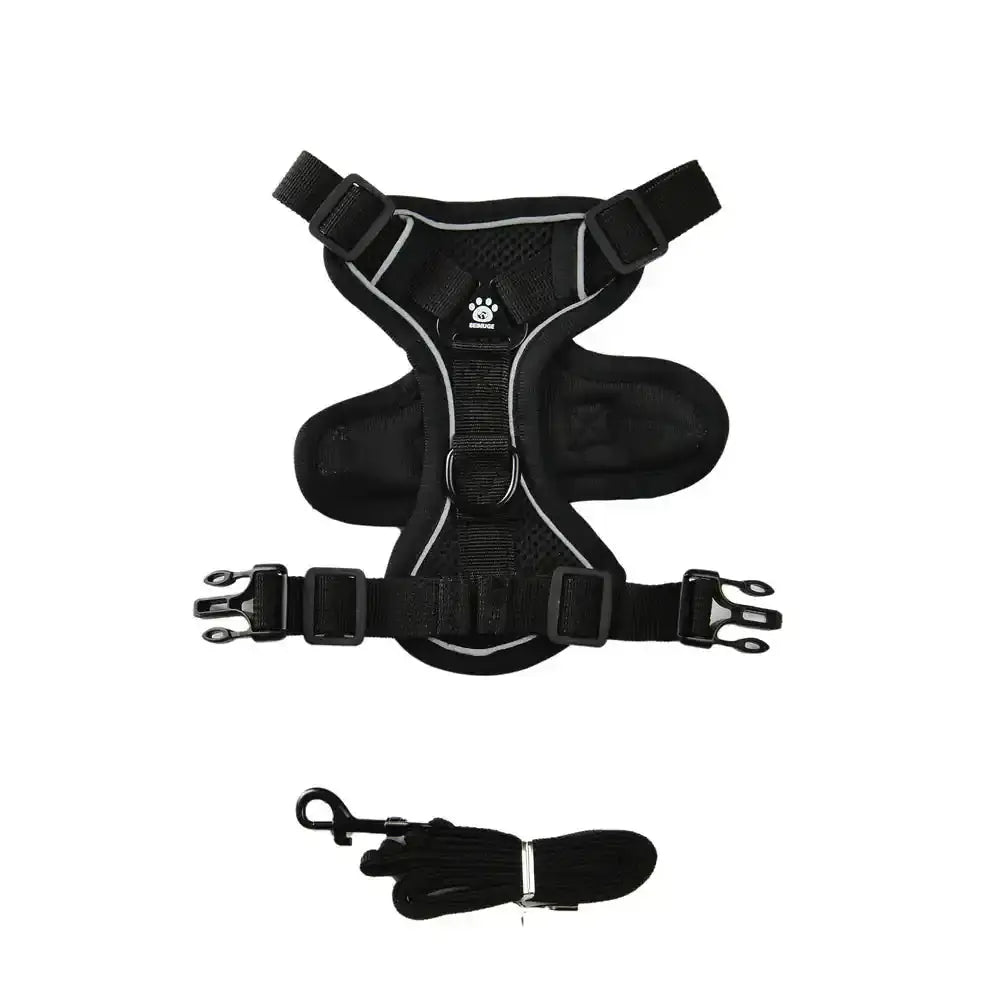 Pawnests Aura | Reflective Breathable Pet Harness & Leash Set Pawnests