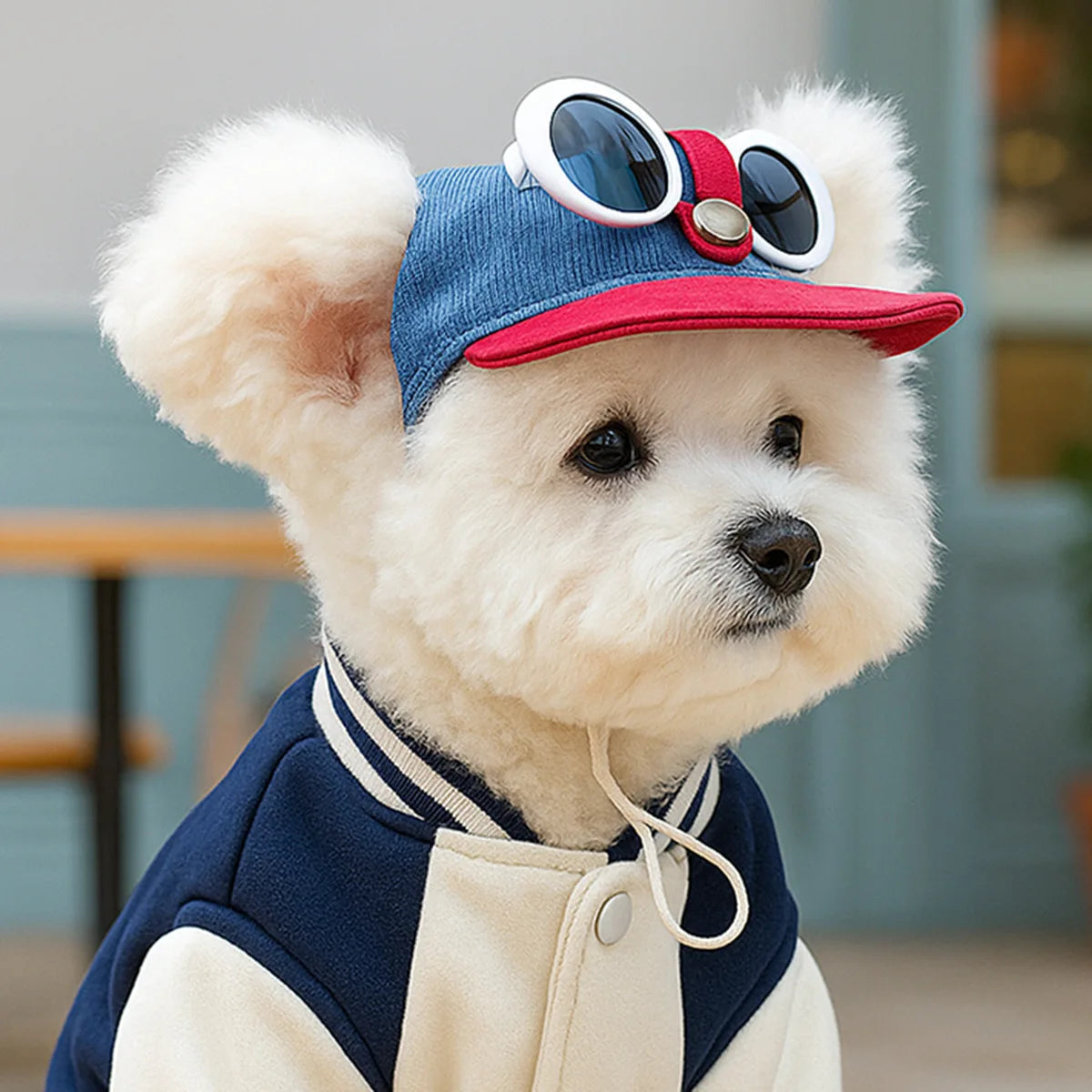 Trendy Pet Sun Hat & Sunglasses Set Pawnests