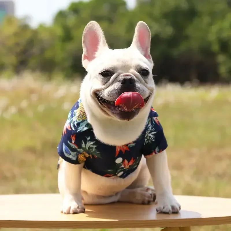 Hawaiian Beach Dog and Cat Shirt – Breezy summer style Pawnests