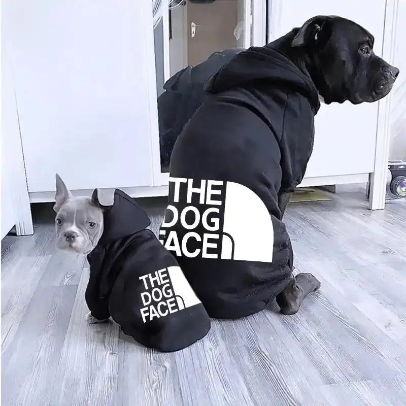 The Urban Explorer Dog Hoodie Pawnests