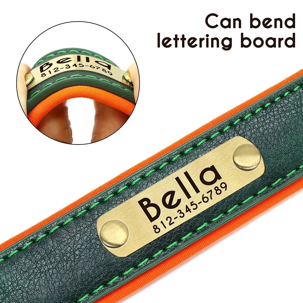 PawNests Choice: The Signature Leather Collar Best of Premium Pet Comfort Pawnests