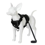 Pawnests Aura | Reflective Breathable Pet Harness & Leash Set Pawnests