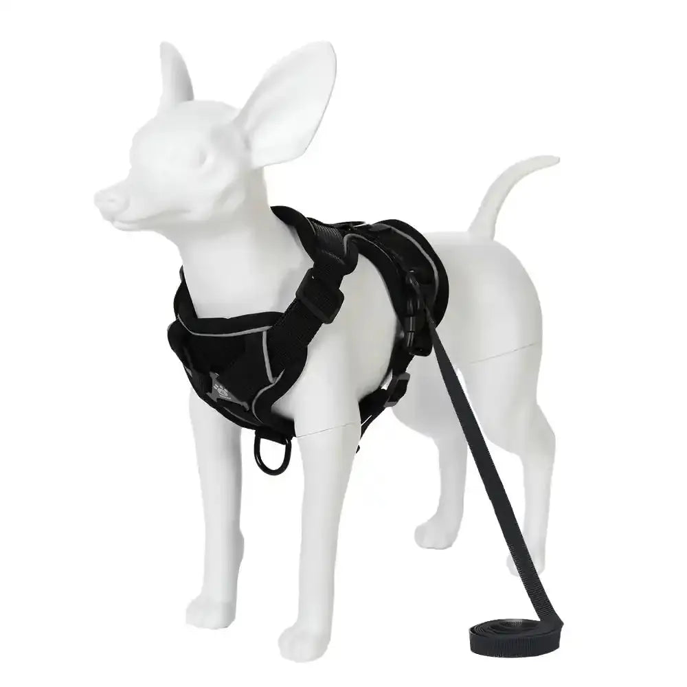 Pawnests Aura | Reflective Breathable Pet Harness & Leash Set Pawnests