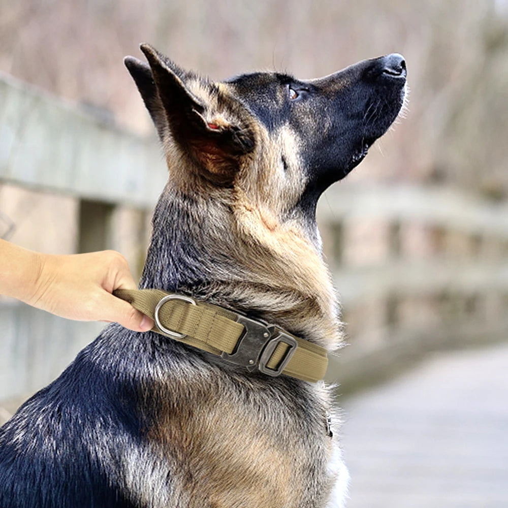 High quality Heavy-Duty Tactical Dog Collar & Leash S Pawnests