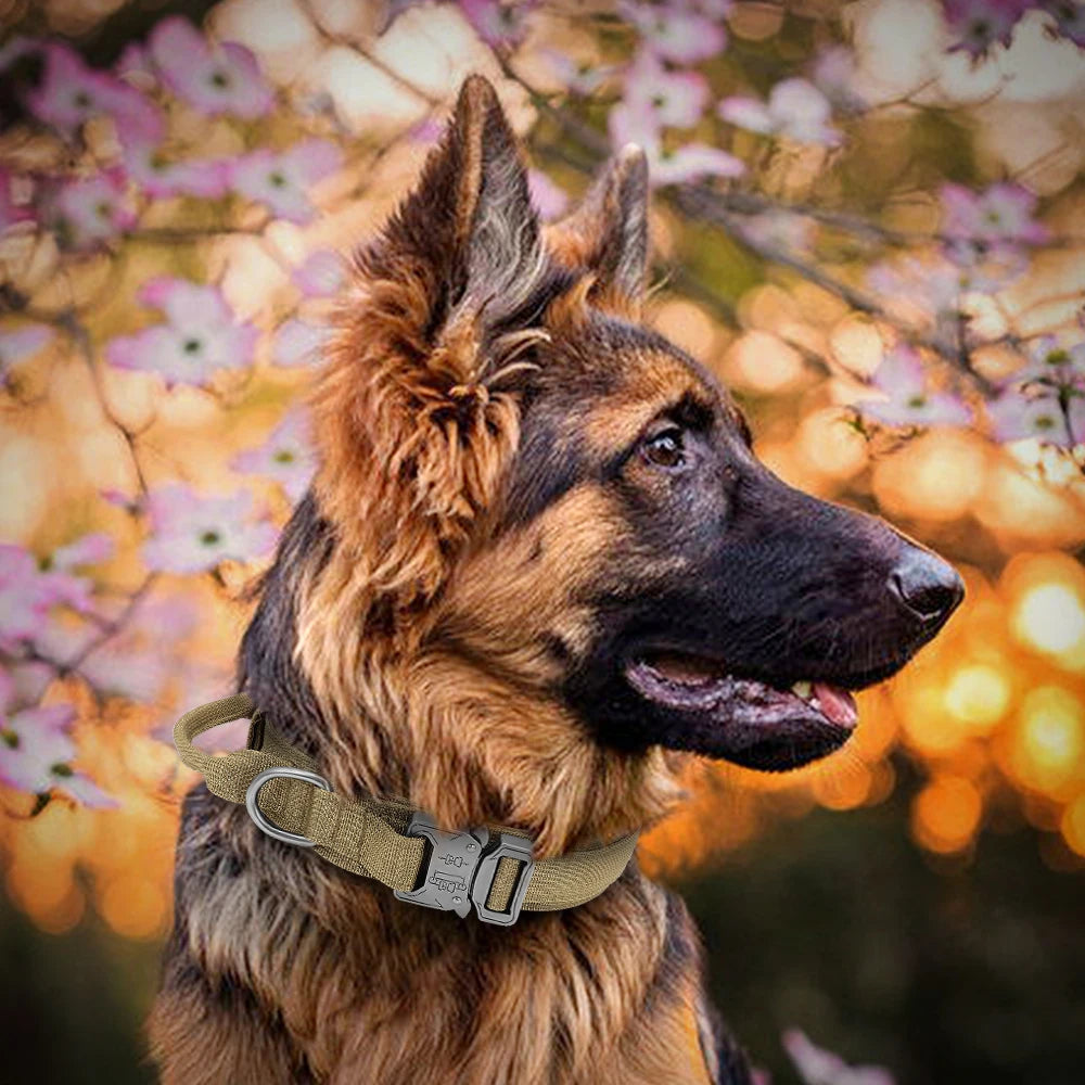 High quality Heavy-Duty Tactical Dog Collar & Leash S Pawnests