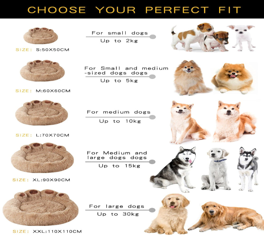 Premium Orthopedic Dog Sofa Bed Pawnests