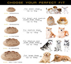 Premium Orthopedic Dog Sofa Bed Pawnests