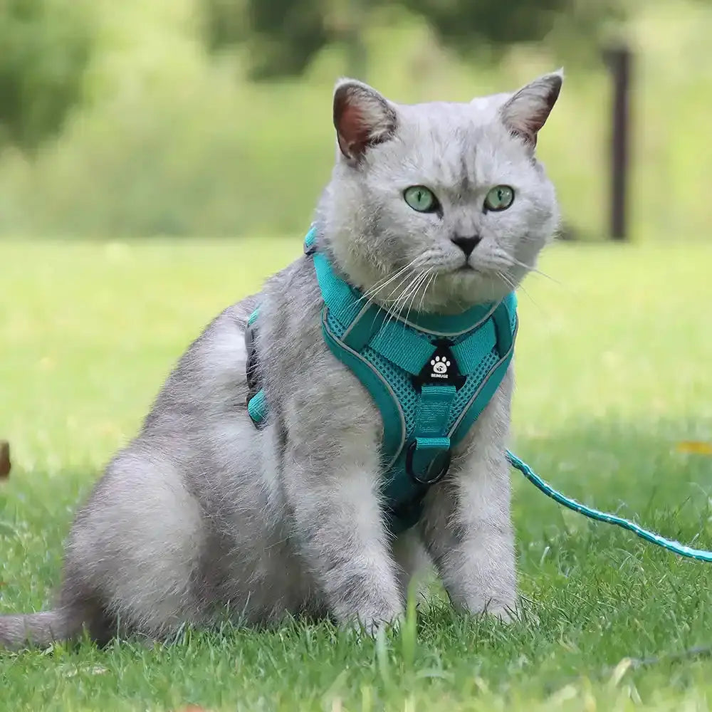 Pawnests Aura | Reflective Breathable Pet Harness & Leash Set Pawnests