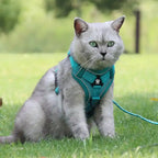 Pawnests Aura | Reflective Breathable Pet Harness & Leash Set Pawnests