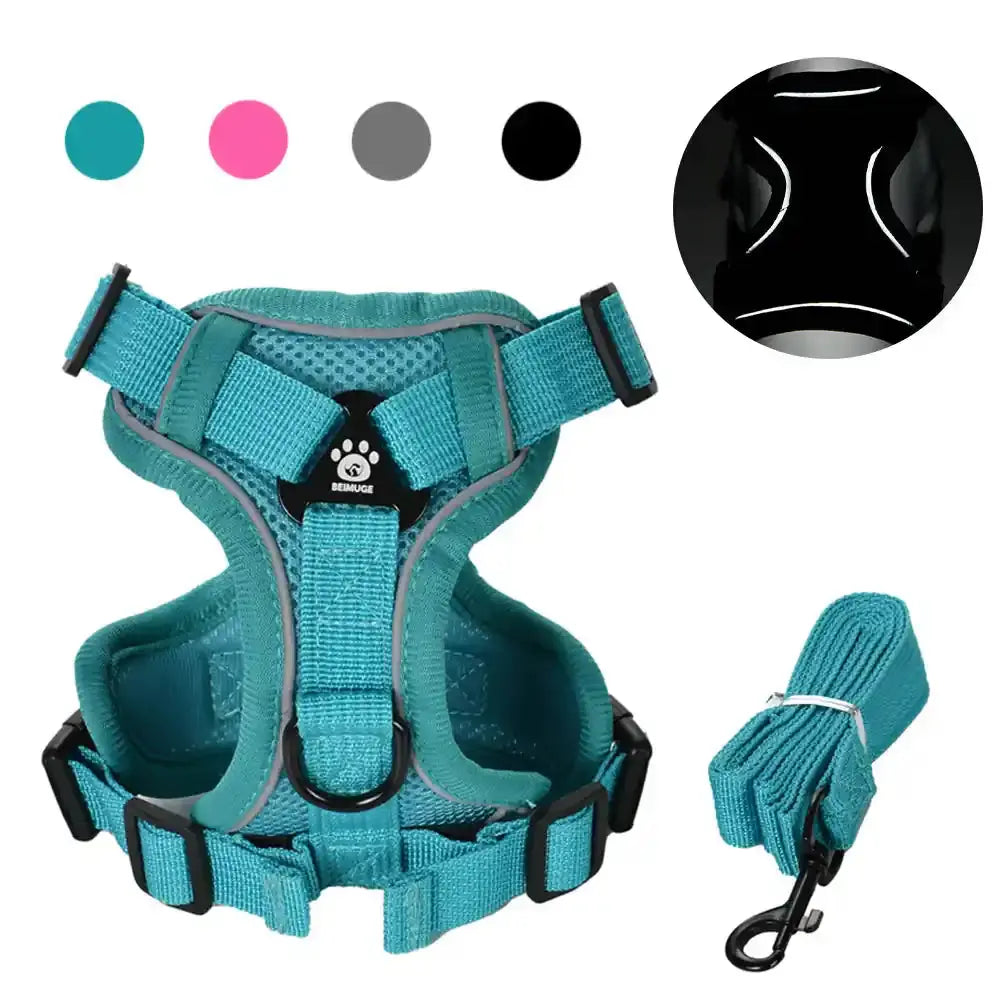 Pawnests Aura | Reflective Breathable Pet Harness & Leash Set Pawnests