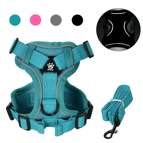 Pawnests Aura | Reflective Breathable Pet Harness & Leash Set Pawnests
