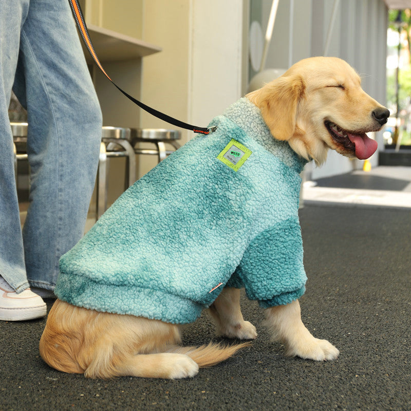 Big dog wearing winter coat outdoors — Pawnests