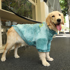 Dog jacket two-leg design close-up — Pawnests