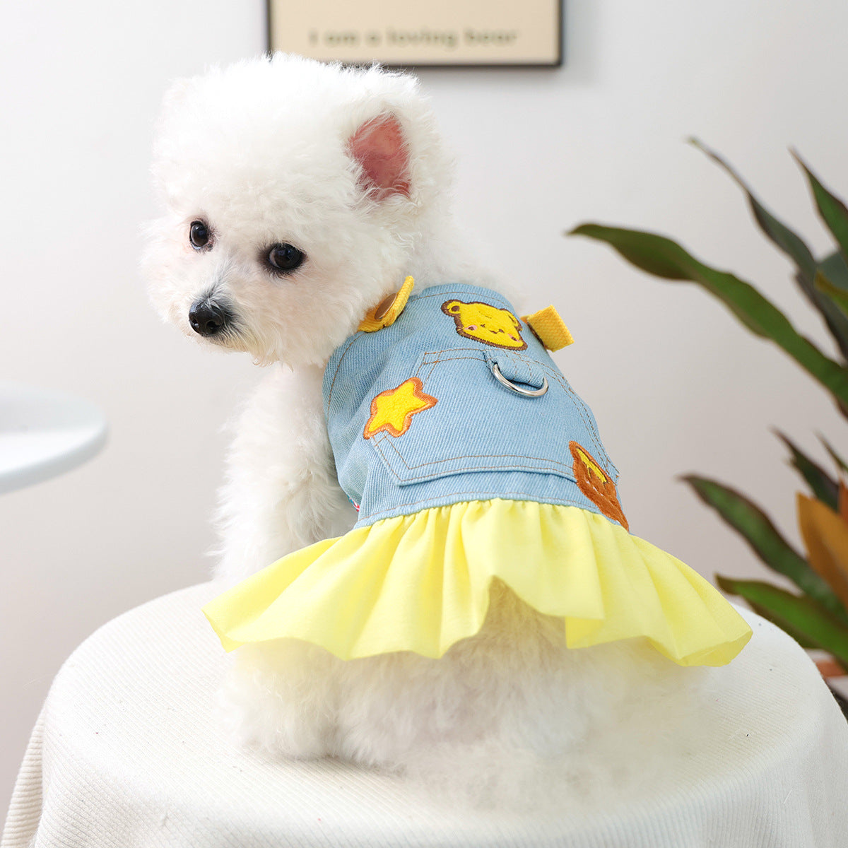 Pet Denim Skirt | Cute Summer Dress for Small Dogs & Cats – product image 44 | Pawnests
