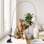 Tabby cat reaching for a feather and bell cat teaser toy on a suction-cup base at a sunny window | Pawnests