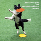 The  outdoor playtime Dog High-Flyer Frisbee Pawnests