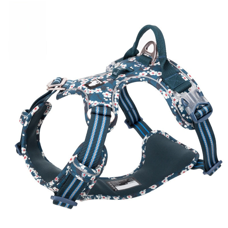 Dog wearing waterproof harness at night, reflective visible — Pawnests