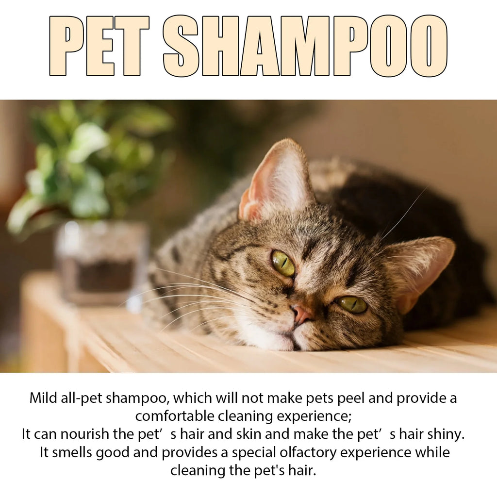 Dog bathing with flea shampoo — smooth and knot-free coat result | Pawnests