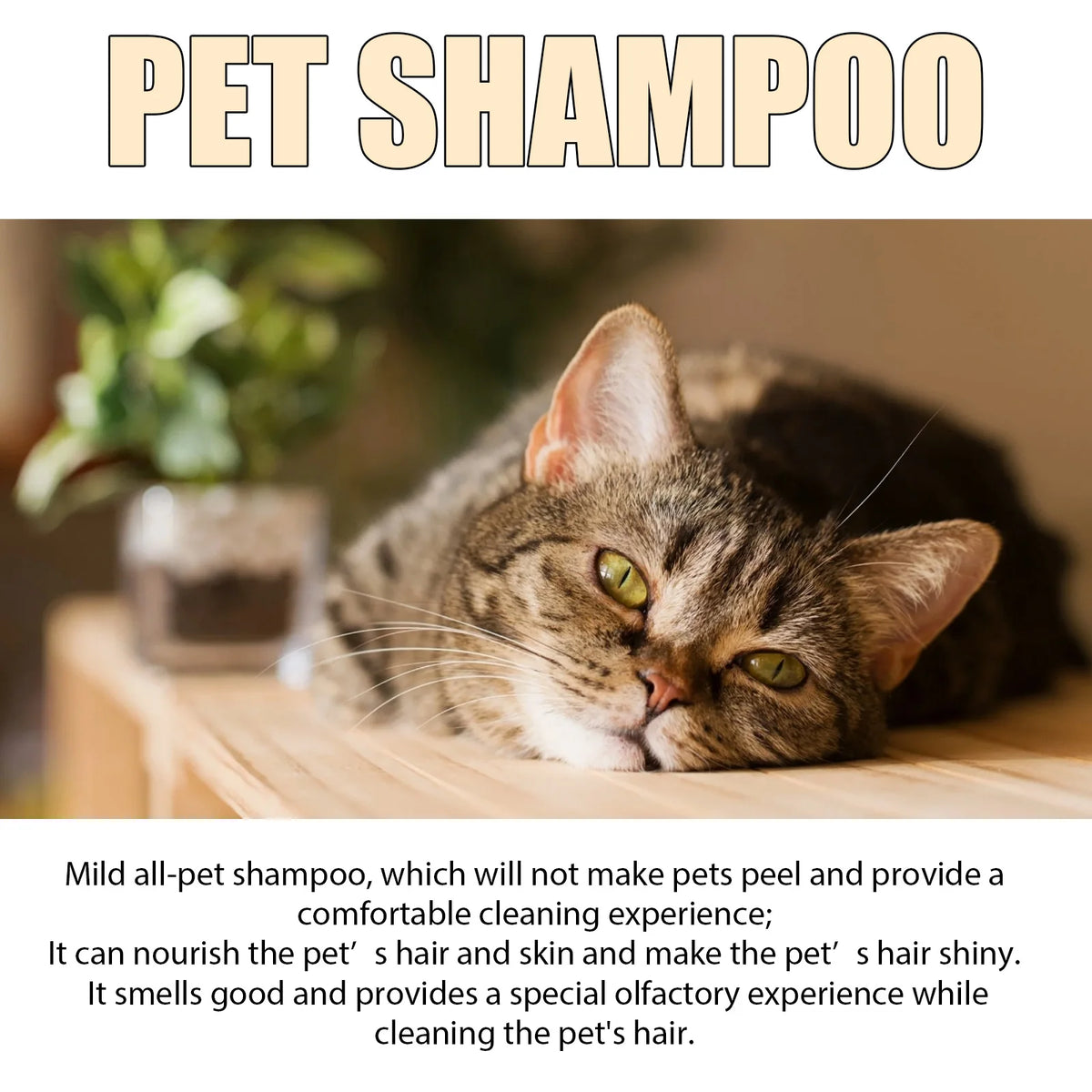 Dog bathing with flea shampoo — smooth and knot-free coat result | Pawnests