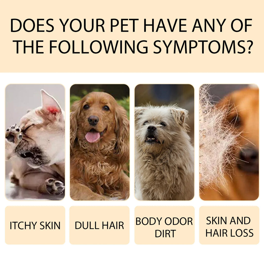How to use dog shampoo step by step — lather rinse dry | Pawnests