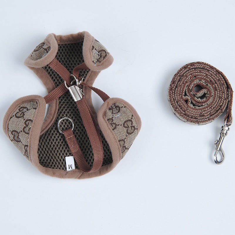 Puppy harness leash attached, walking outdoors — Pawnests