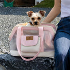 Pet shoulder carrier bag in blue — dual strap carry bag for cats and small dogs | Pawnests