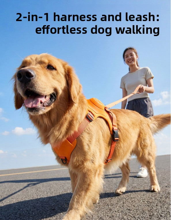 Hundegeschirr- & Roll-Leinen-Set | Anti-Flucht-Gassi-Kit