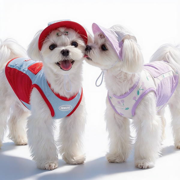 Mesh hooded pet cooling tank top on white background