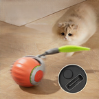 Cat playing with automatic silicone toy ball | Pawnests