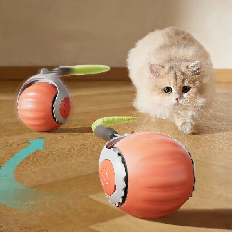 Automatic cat toy ball all color and style options | Pawnests