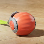 Grid style automatic cat toy ball orange and blue | Pawnests