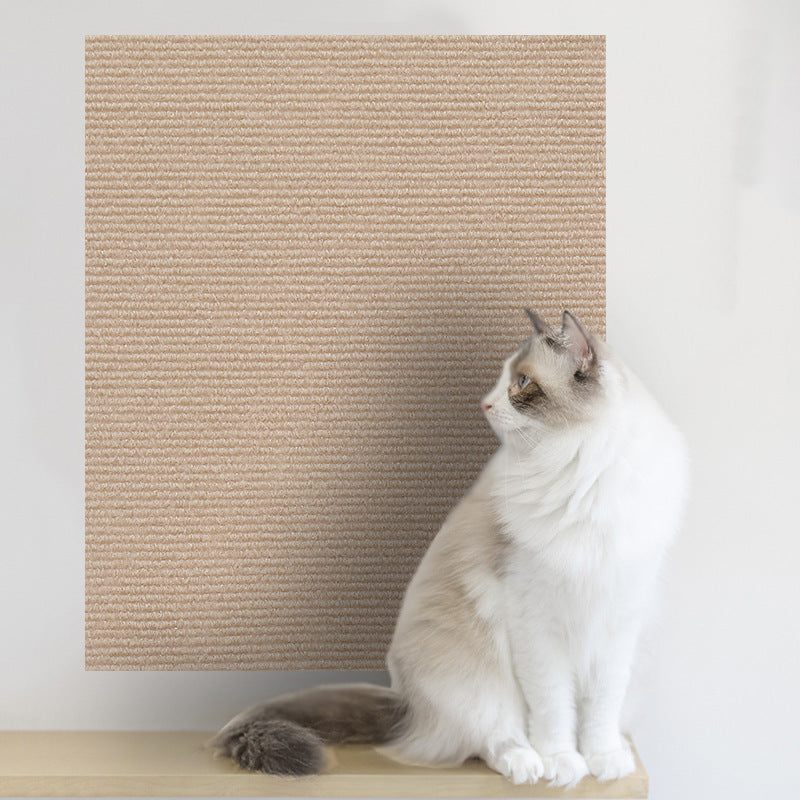 Cat lounging beside scratch-protected sofa | Pawnests
