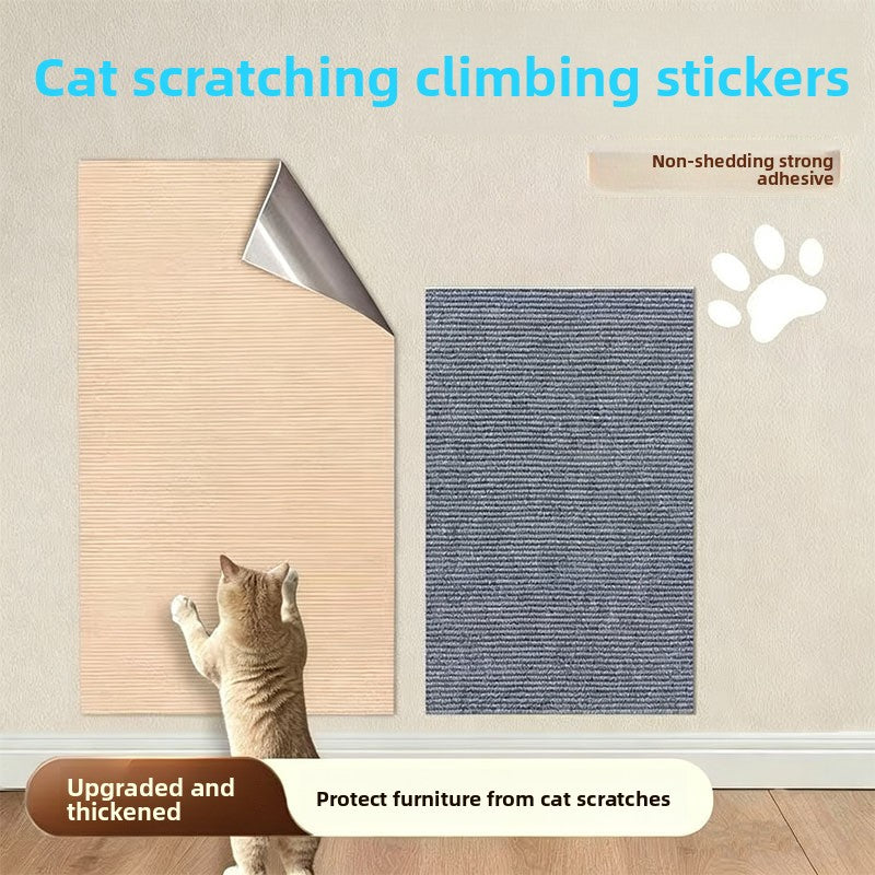 Cat clawing scratch-protected wall surface | Pawnests