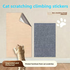 Cat clawing scratch-protected wall surface | Pawnests