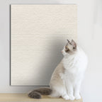 Wall protector applied to bed frame corner | Pawnests