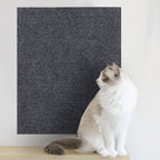 Cat scratch wall sticker in White | Pawnests