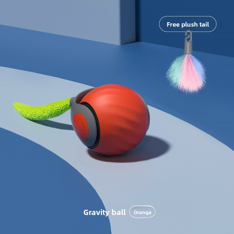 Cat playing with feather attachment on chug ball toy | Pawnests