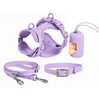 Red PVC dog harness 4-piece set — waterproof walking kit for small dogs | Pawnests