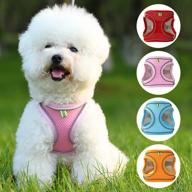 Dog wearing green and grey reflective nylon harness and leash set | Pawnests