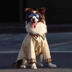 Large dog wearing breathable anti-shedding khaki shirt — front view | Pawnests