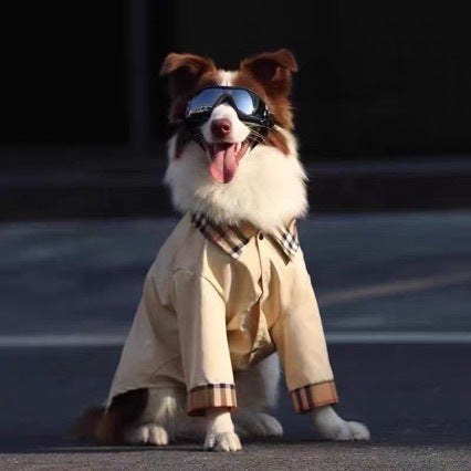 Large dog wearing breathable anti-shedding khaki shirt — front view | Pawnests