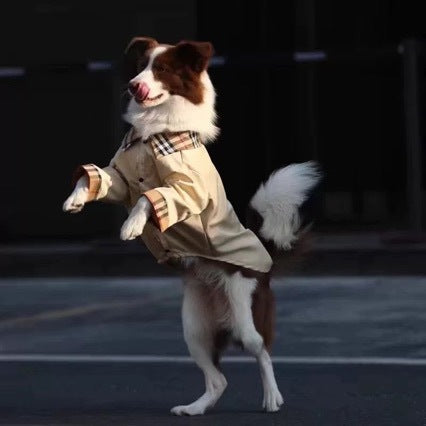 Big dog in anti-shedding tee showing relaxed fit and movement | Pawnests