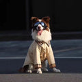 Large dog wearing khaki breathable shirt — side view | Pawnests