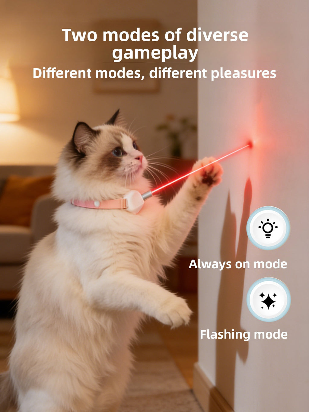 Laser cat collar in pink color option | Pawnests
