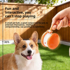 Automatic pet ball launcher with sound effects | Pawnests