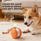 Pet playing with automatic ball launcher toy | Pawnests