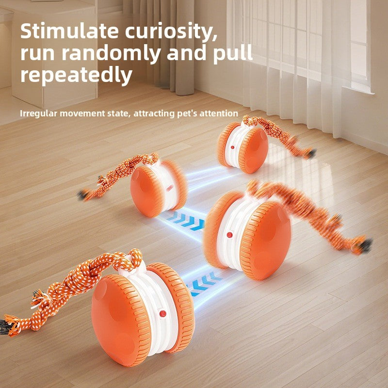 Automatic ball launcher 2-speed settings red and blue light | Pawnests