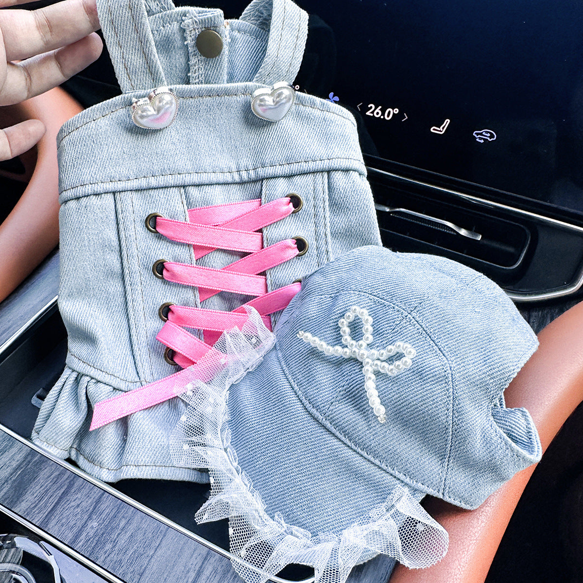 Dog in floral embroidered denim skirt — adorable pet fashion | Pawnests