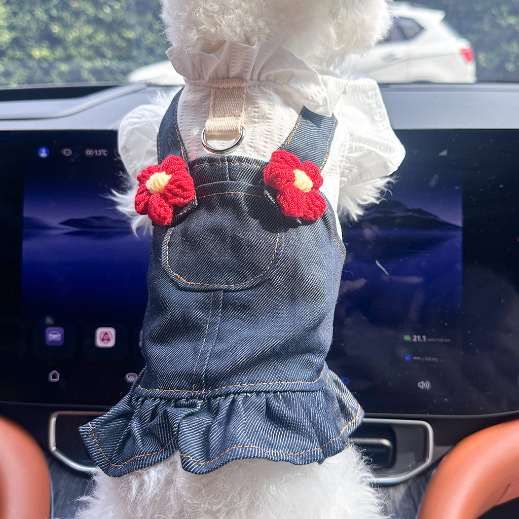 Dog in honey bear denim skirt — playful pet summer outfit | Pawnests